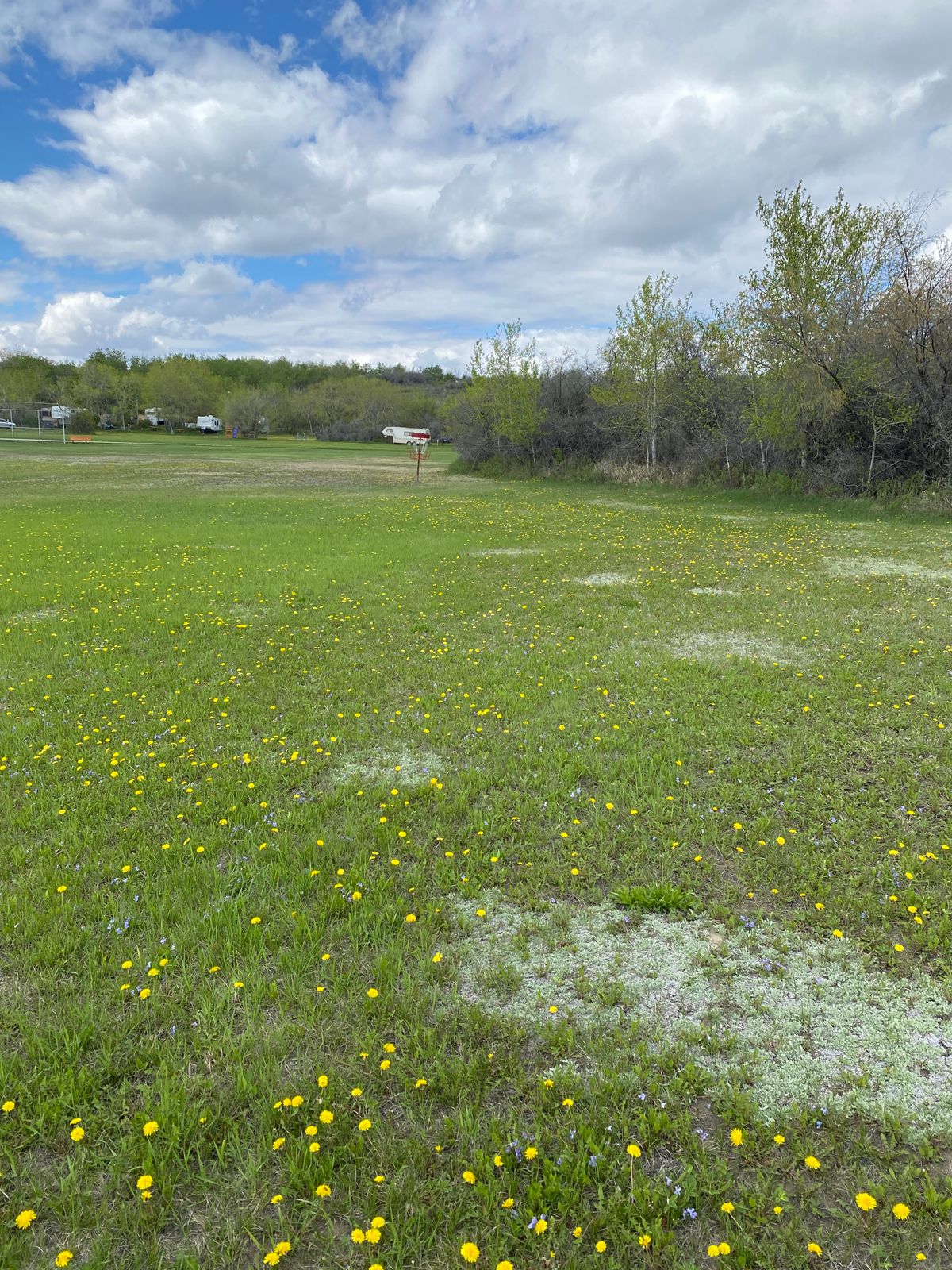 Hole 7