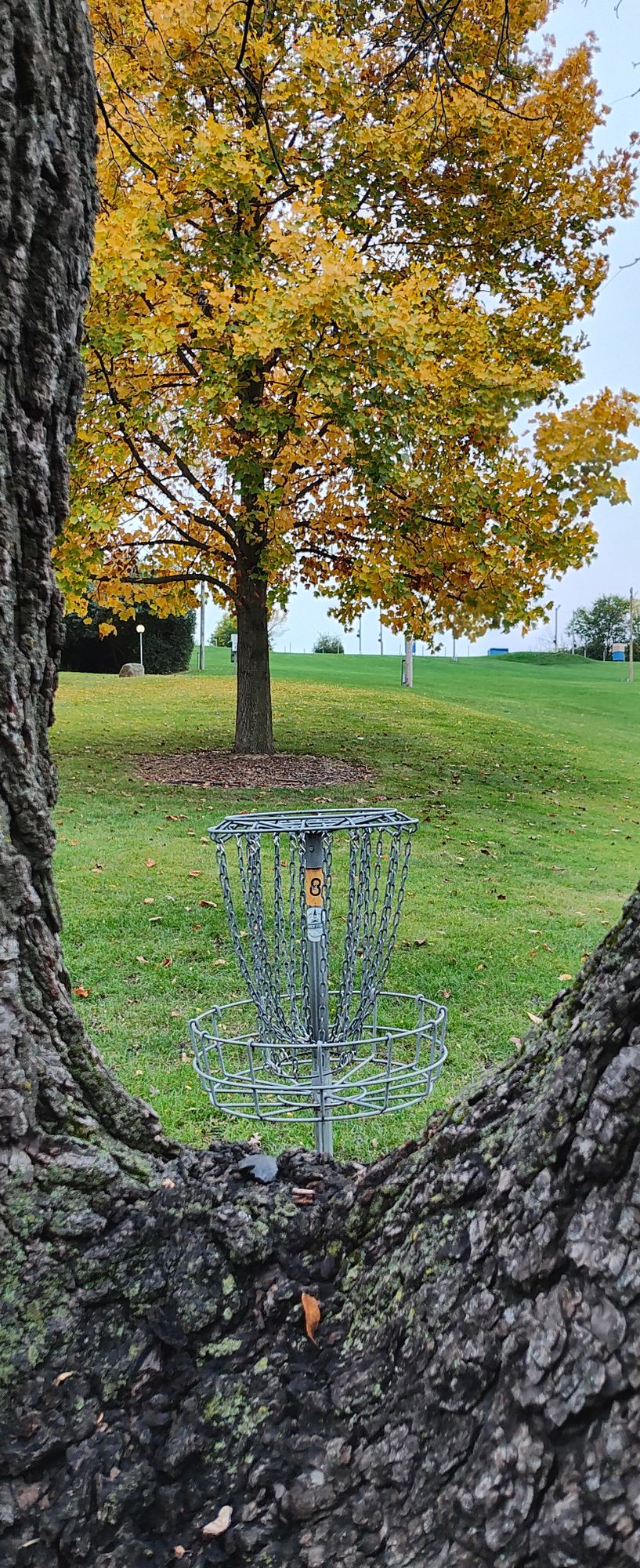 Hole 8s basket will be up for winter 2023, Thanks to Chris the property manager