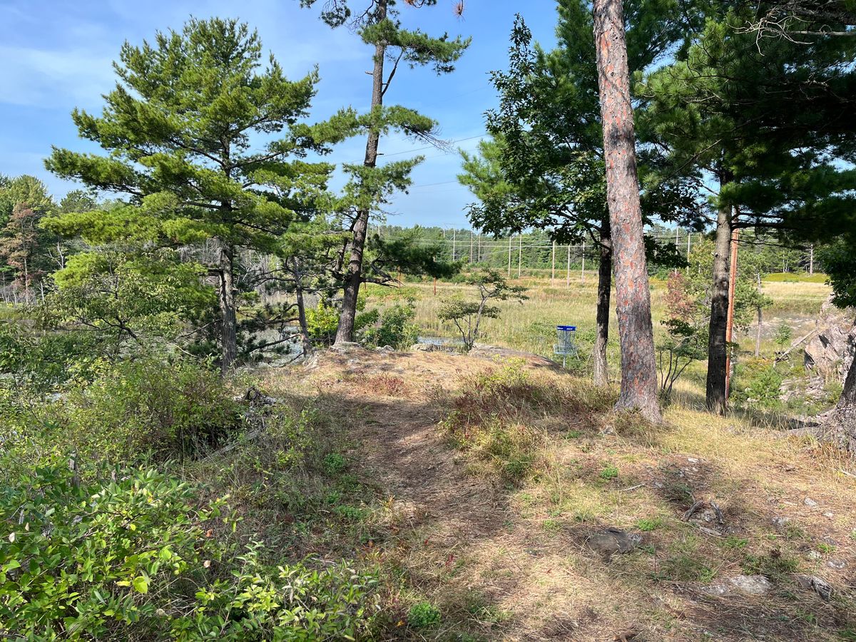 Hole #8, Blue Basket
