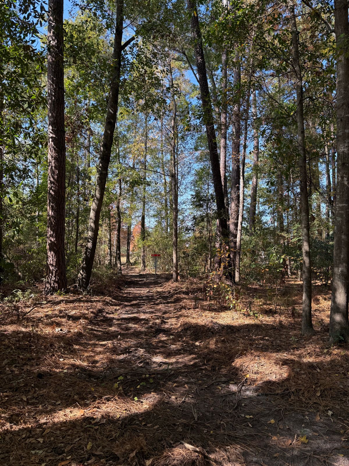 Hole 9 from the corner.