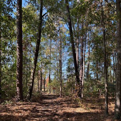 Hole 9 from the corner.