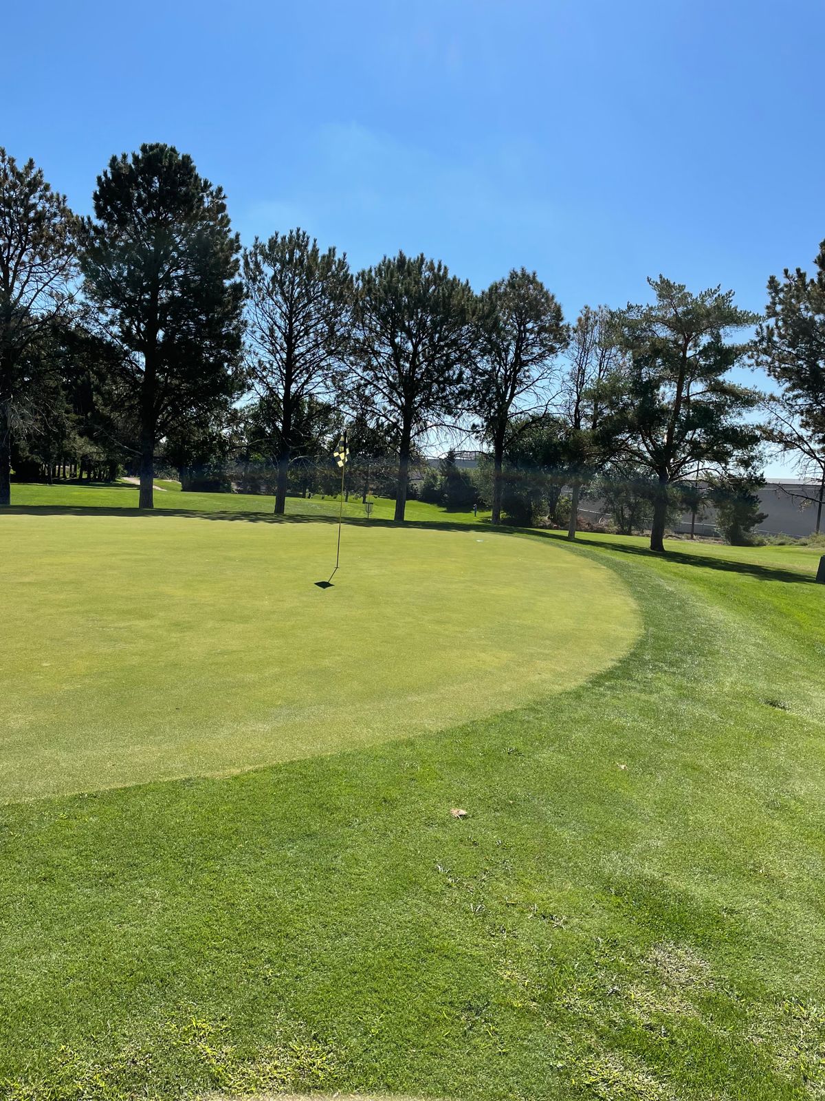 Hole 5