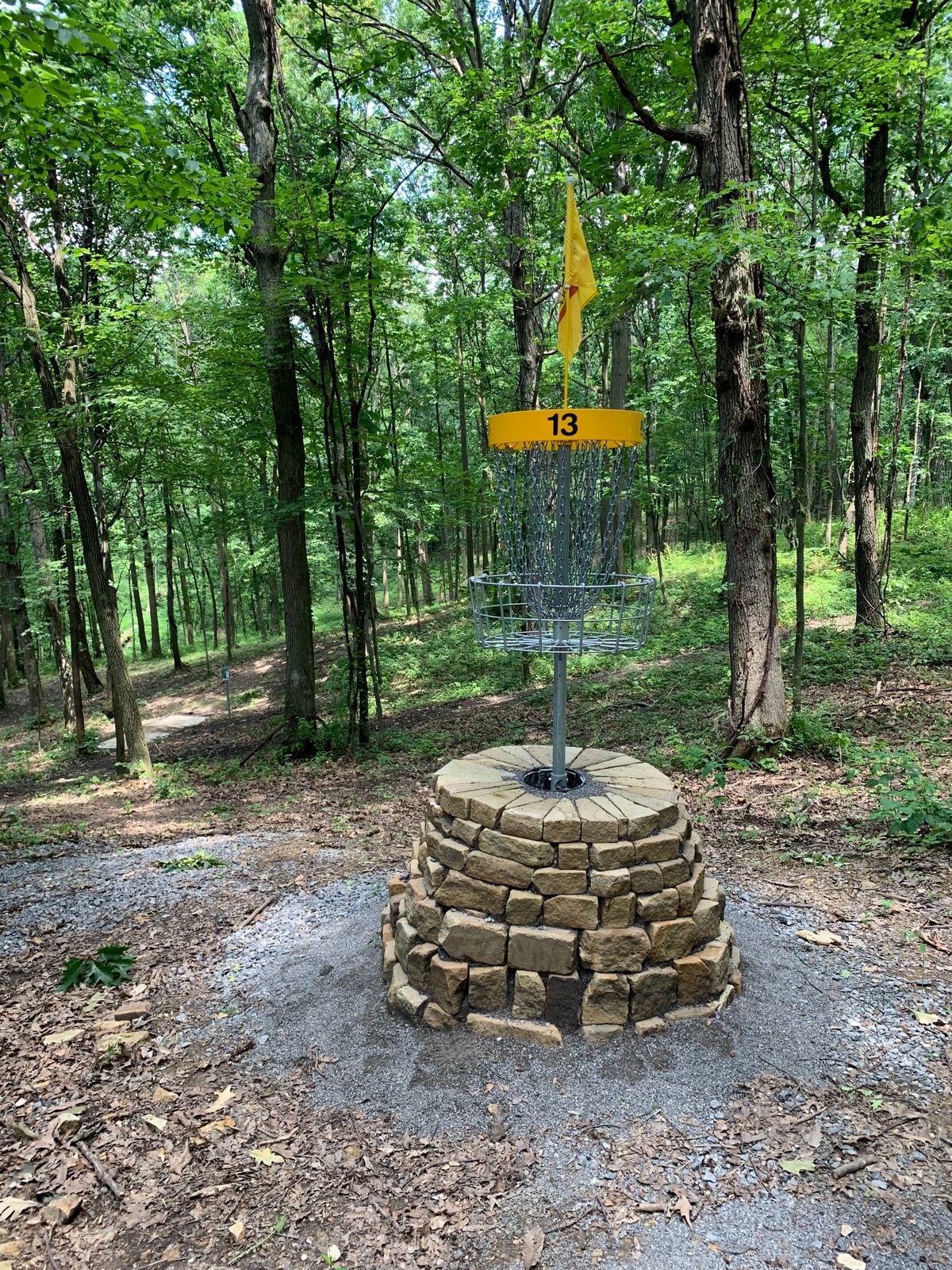 Hole 13C pin