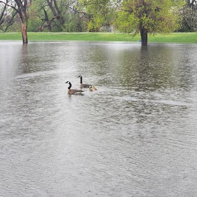 Hole 10 after heavy rains, May 11 2023