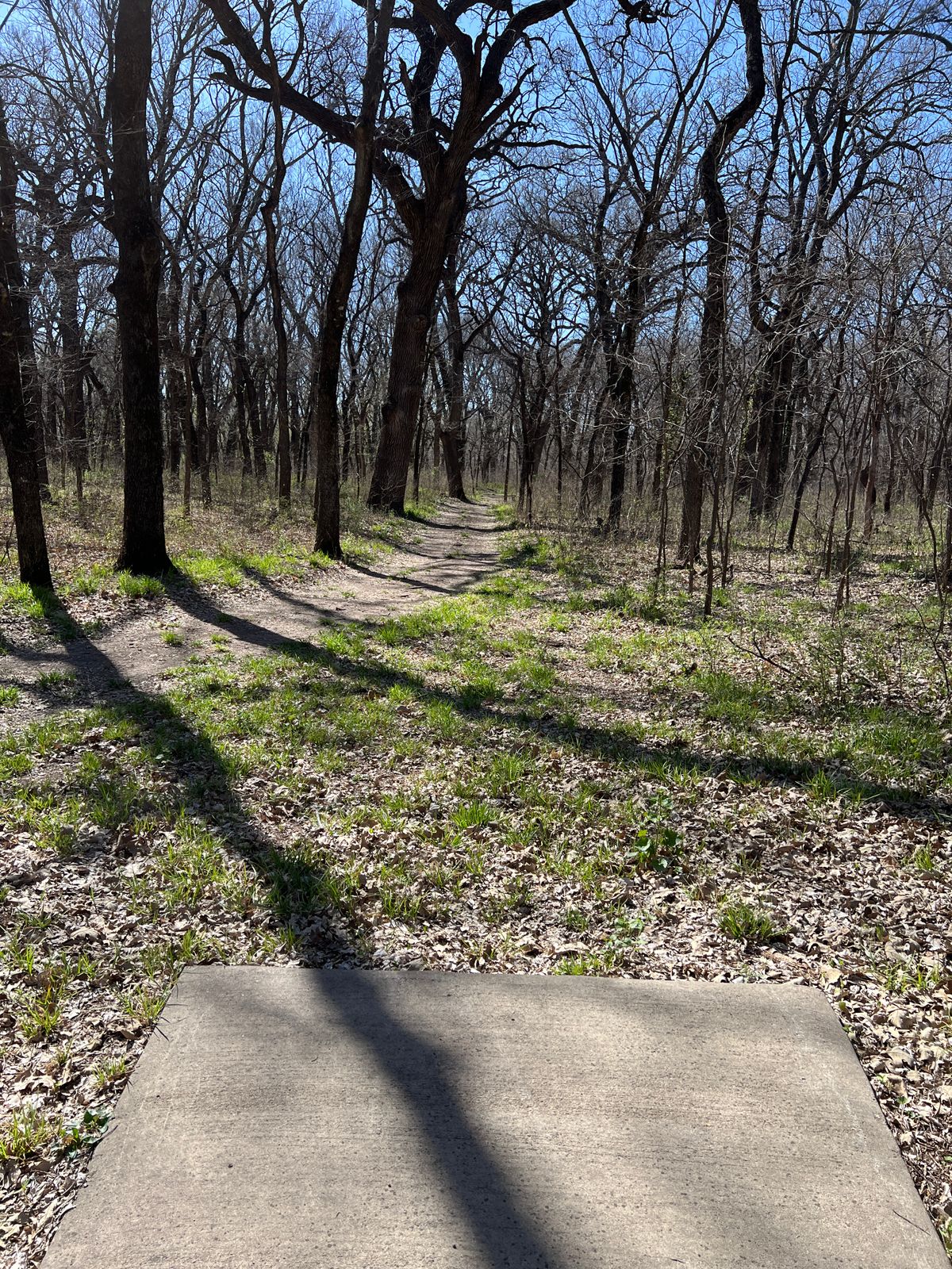 Hole 11
