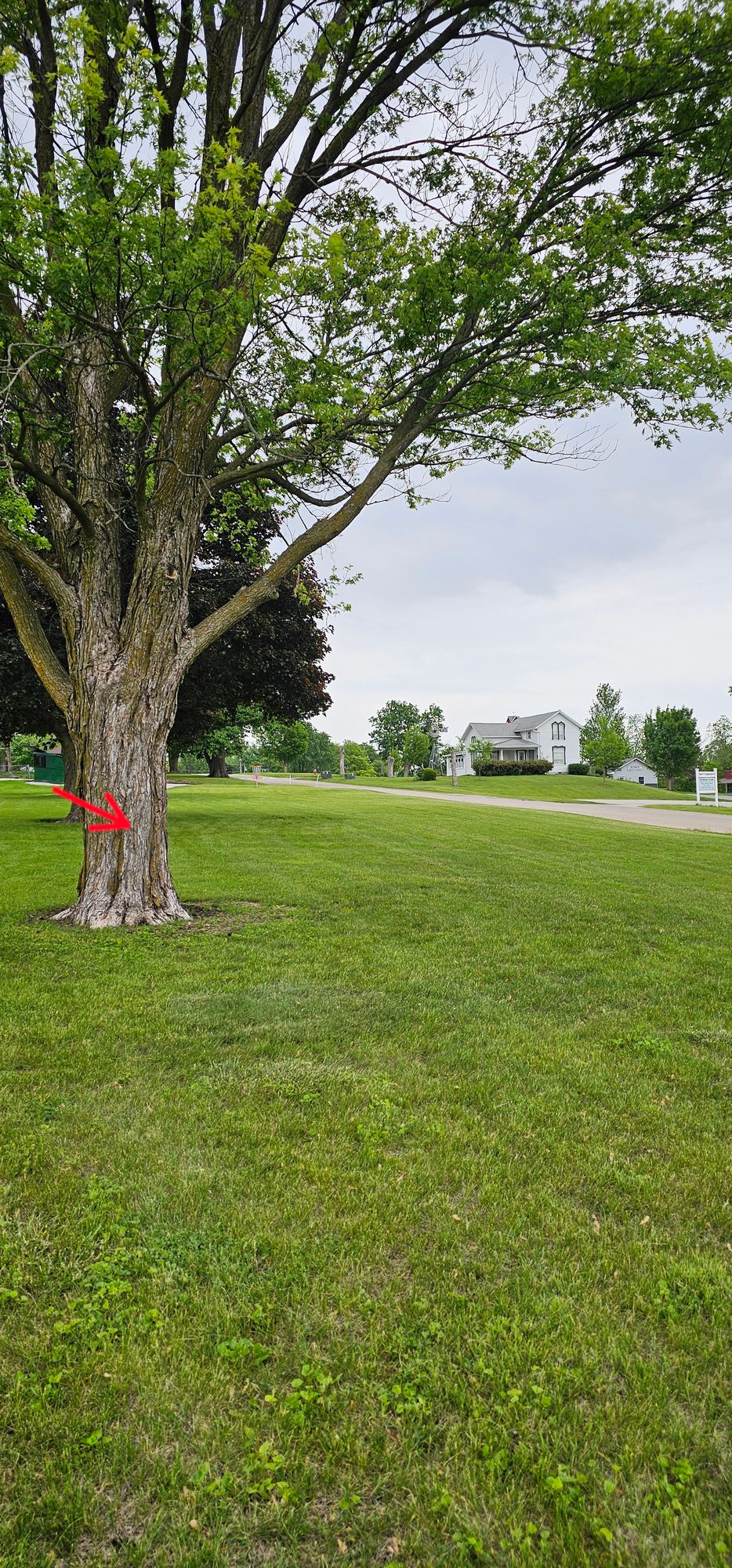 Hole 4 fairway