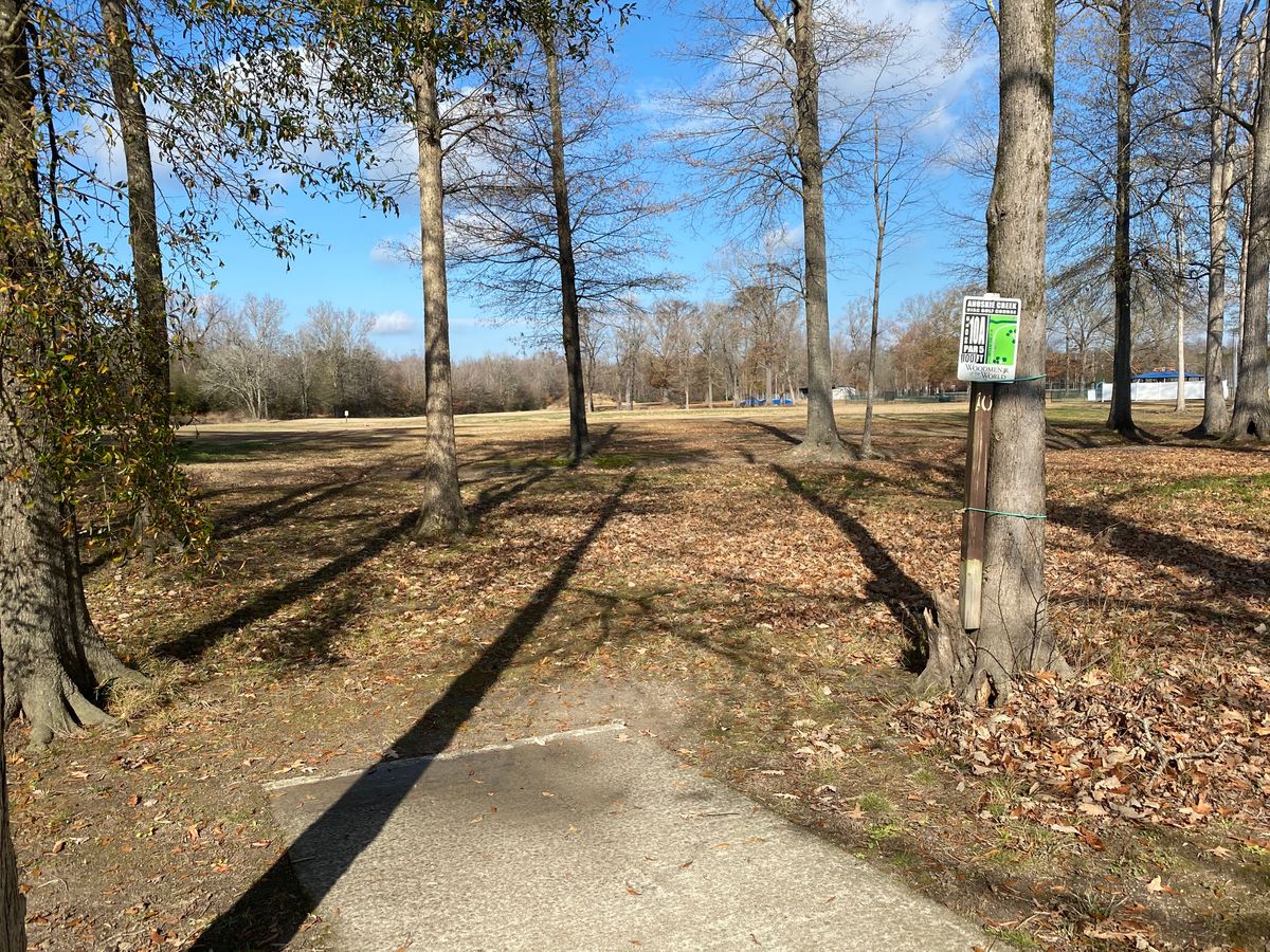 Hole 10 long pad