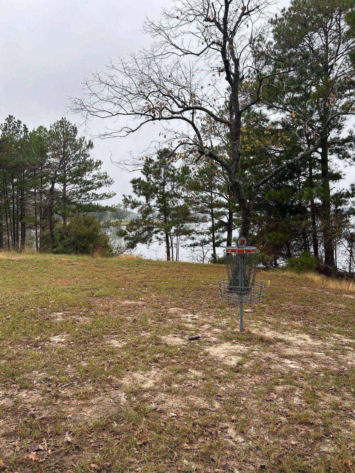 Hole 3 basket