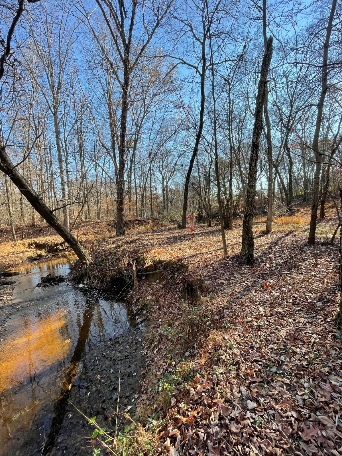 Hole 7 side view of OB