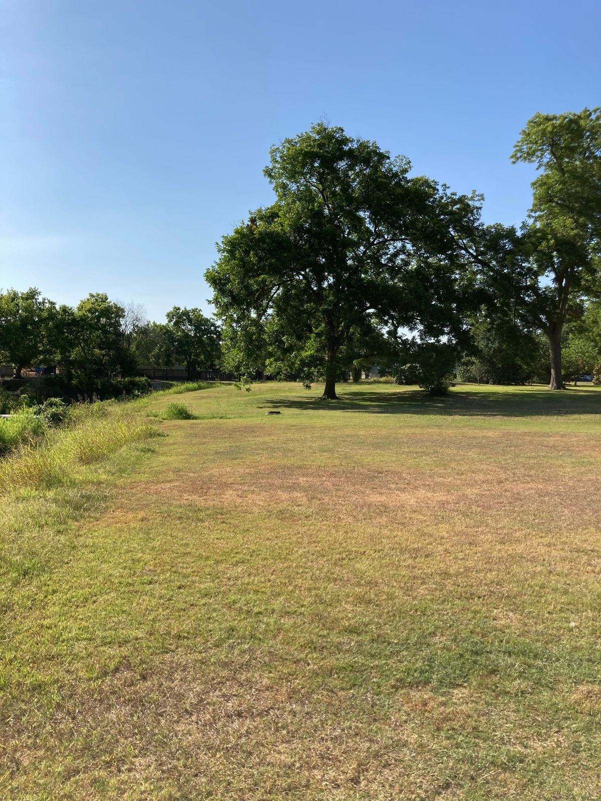 Hole 3 - No designated teeing area.