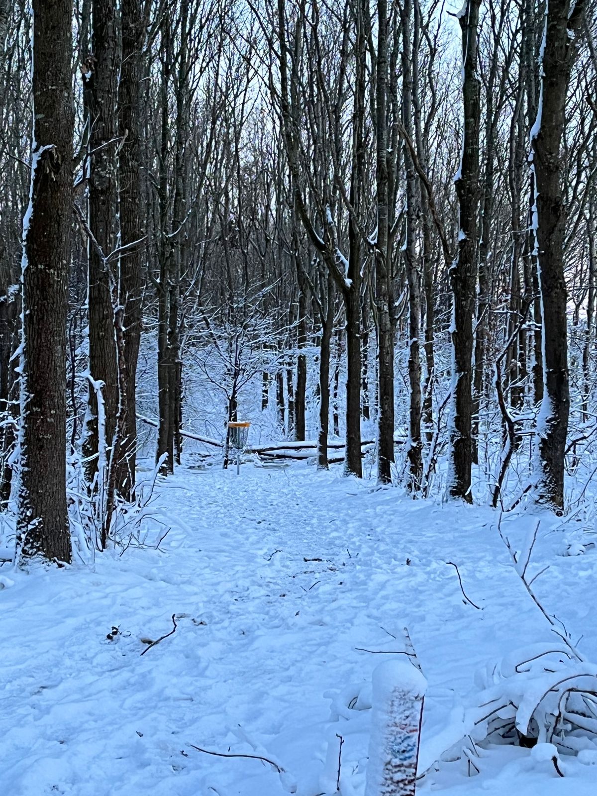 Hole 9 - White winter