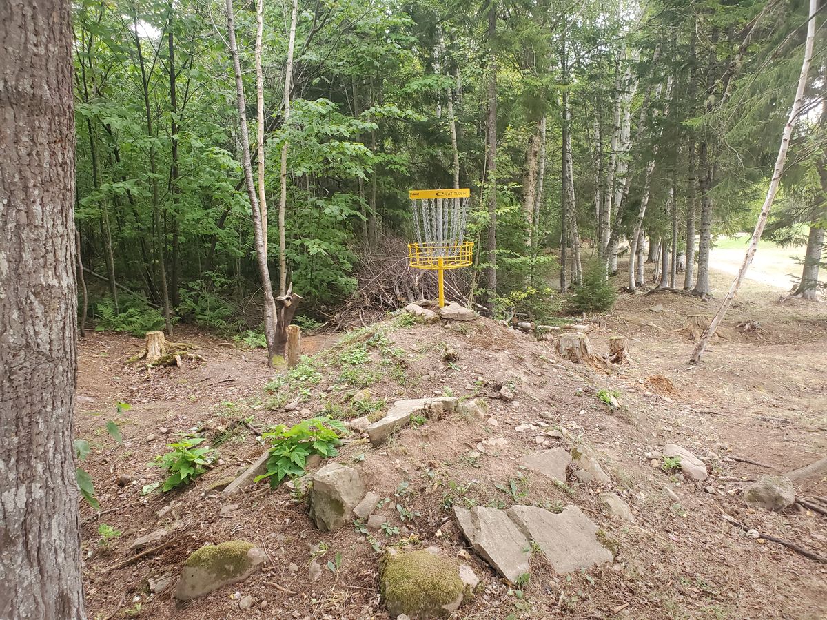 Cool elevated basket