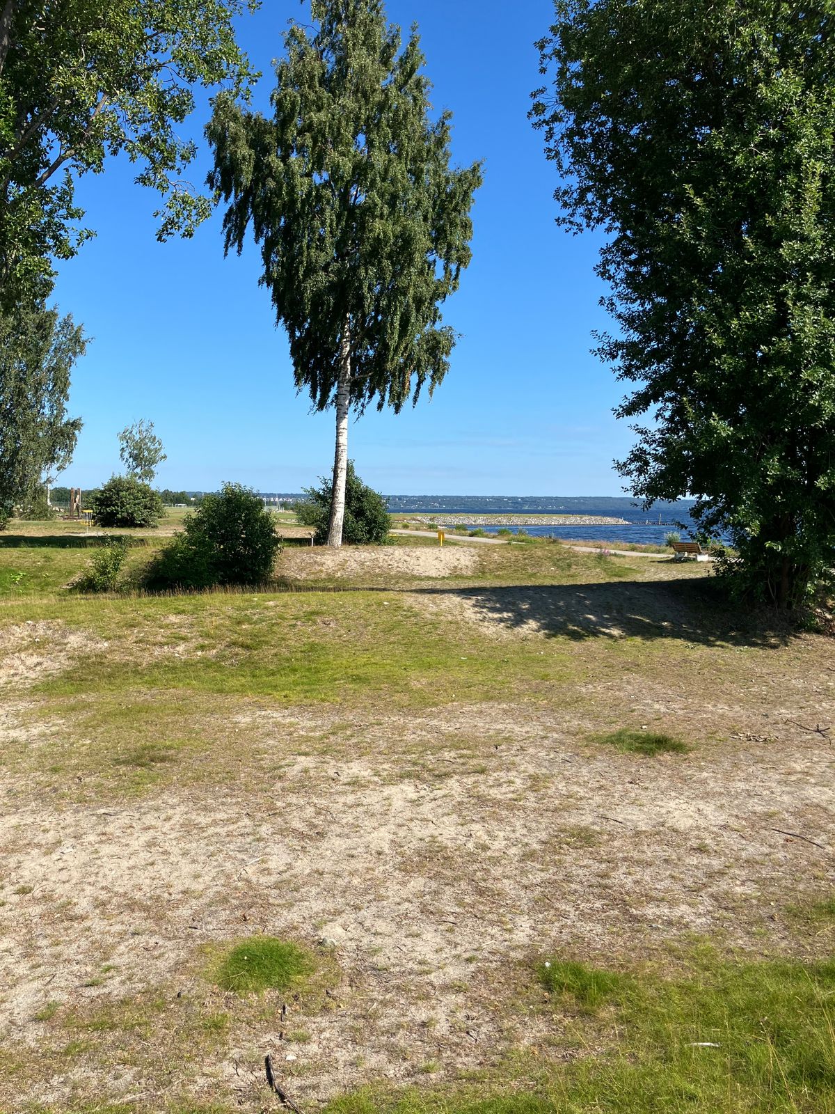 Hål 3, Gul  fairway efter mandoträdet
