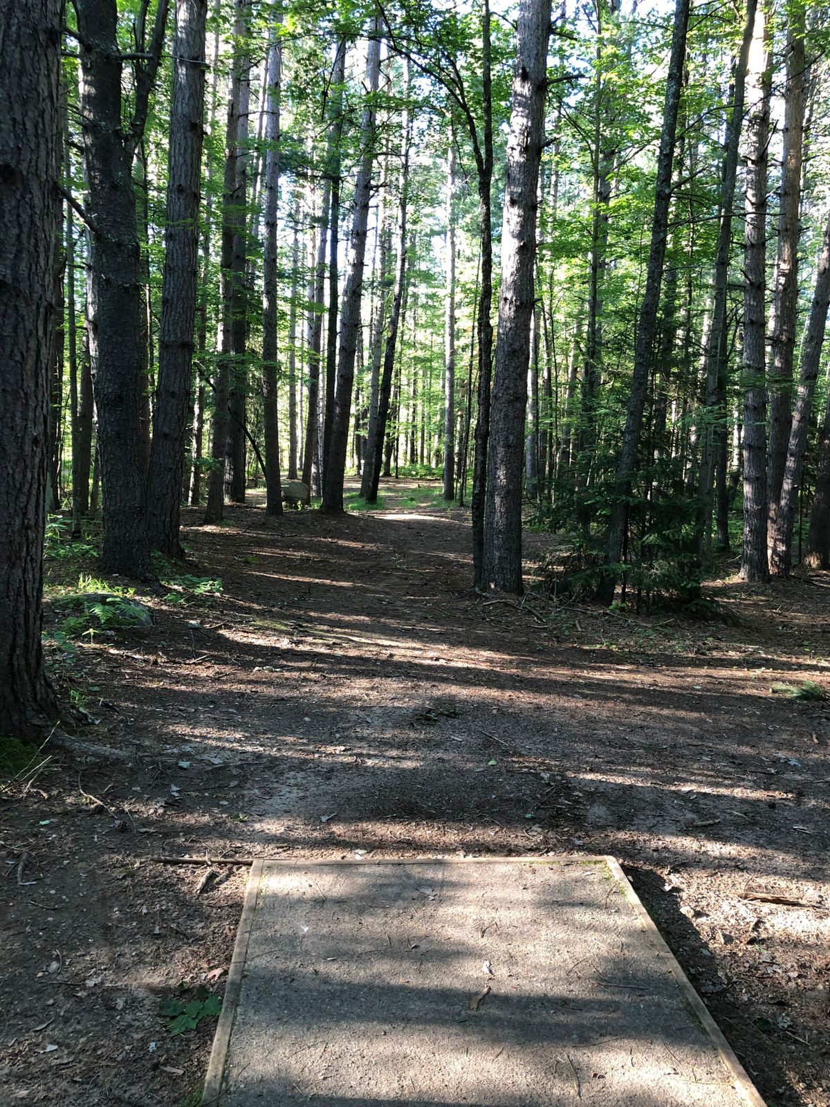 Hole 15