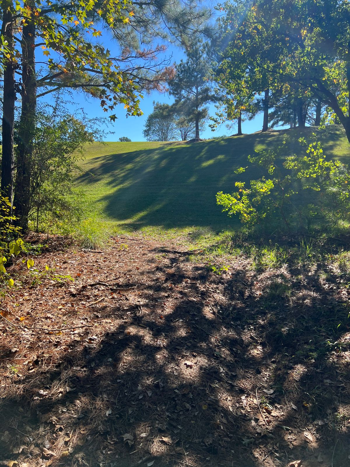 Hole#3 is the first of several elevation upshots. Your 2nd throw here is key