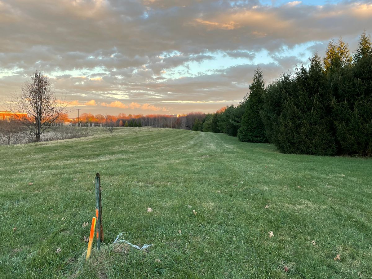 Hole 2 Tee