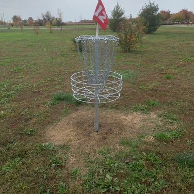 Hole 12 basket