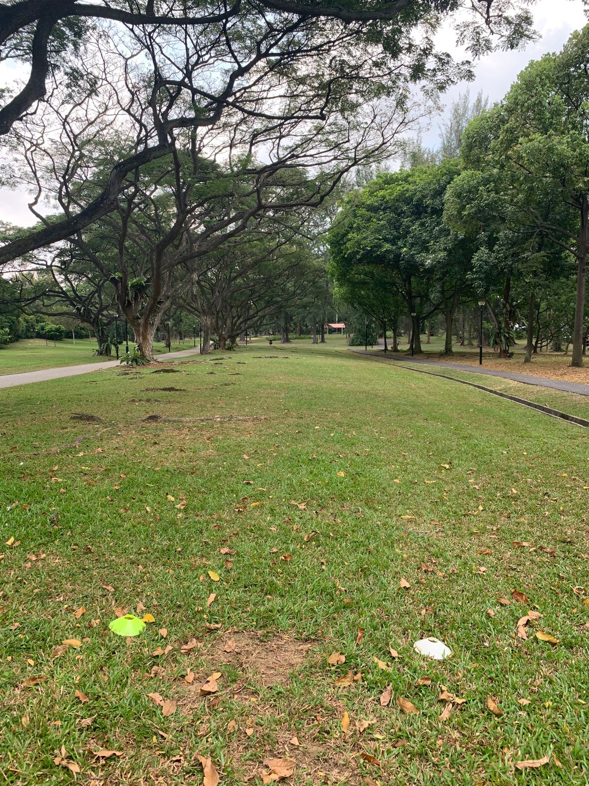 Hole 6 Tee
