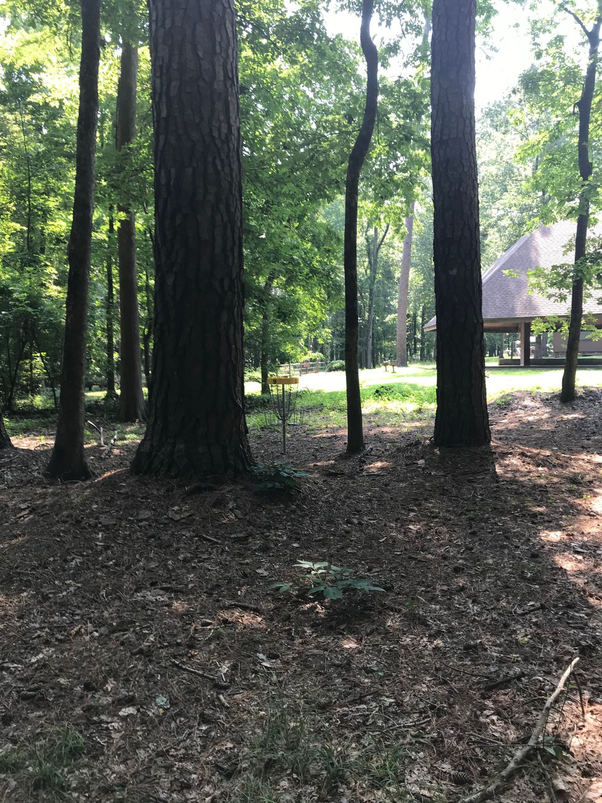 Hole 9