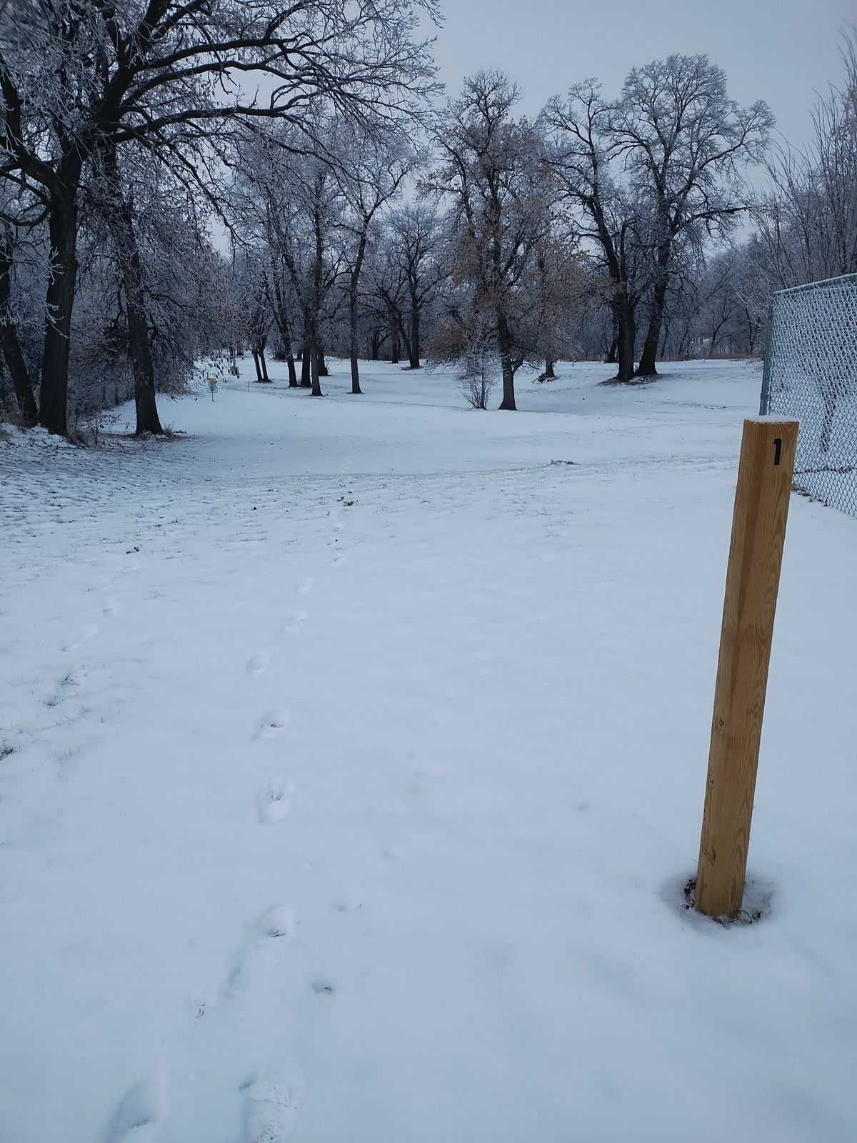 Hole 1 teepad