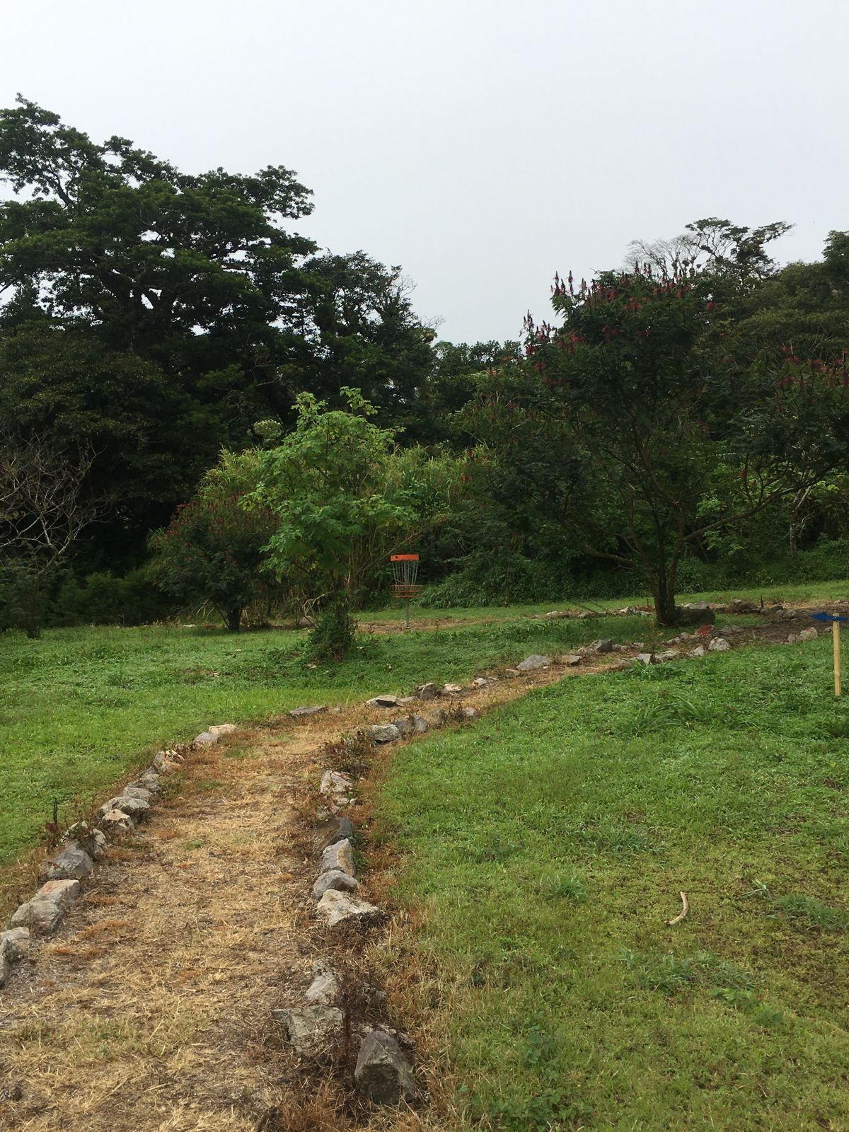 Hole 6 Fairway