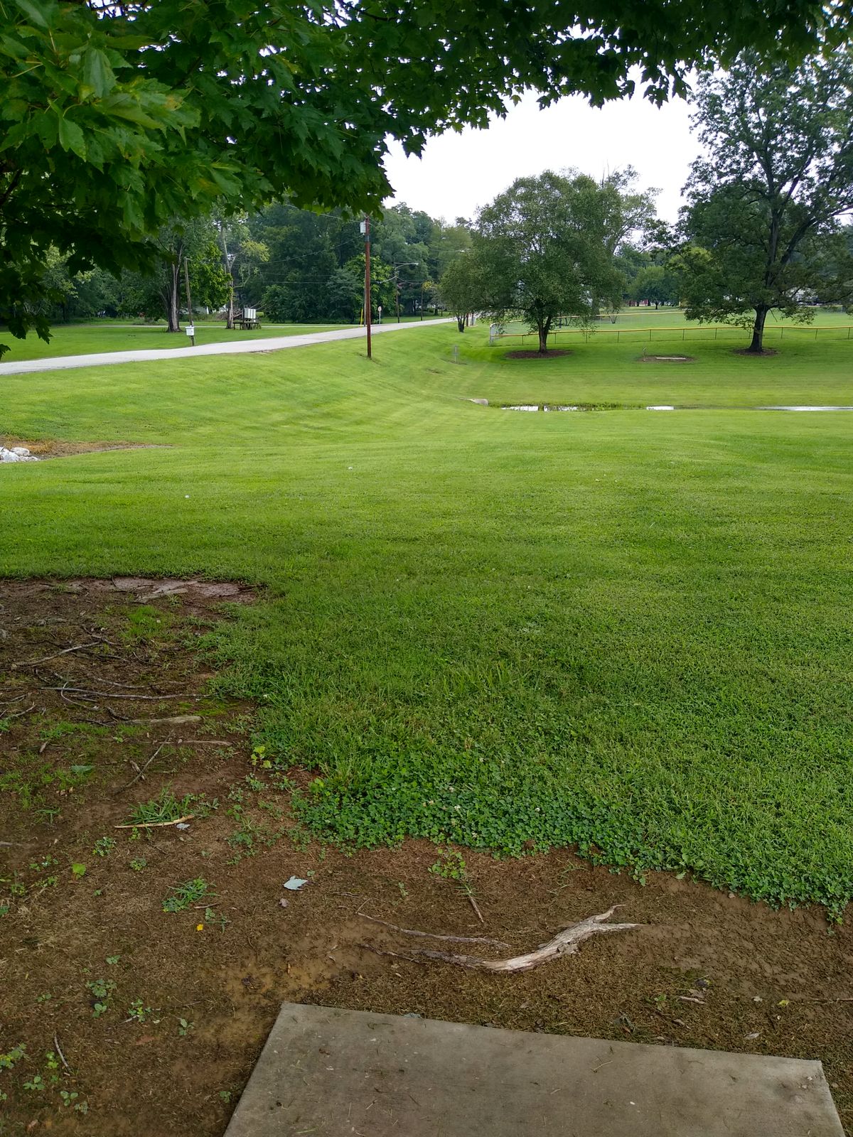Hole 8 runs along the right side of the road. Drainage at the bottom of the hill to the right of the pole