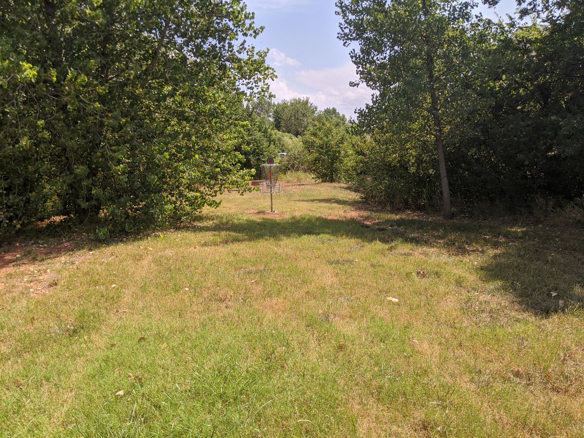 Hole 4 basket