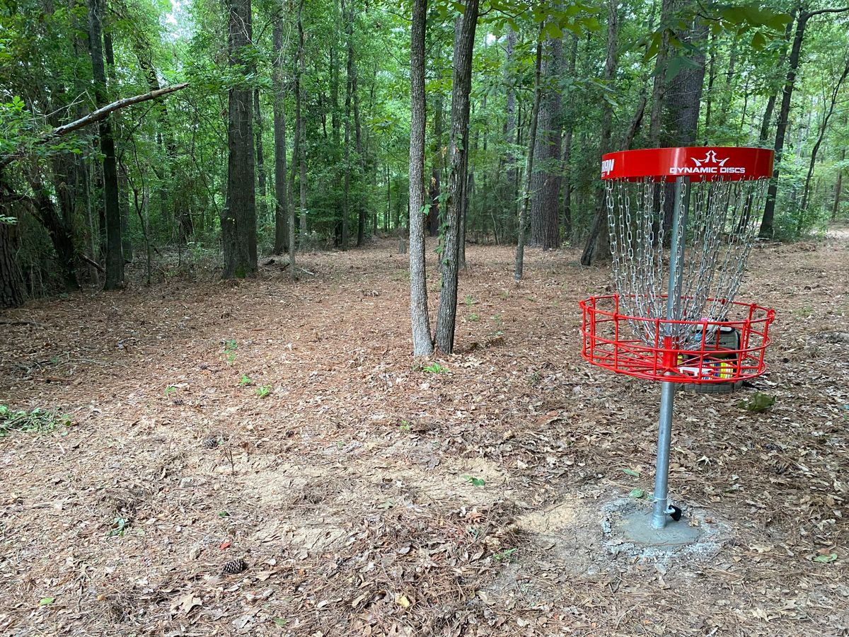 Hole 6 green.