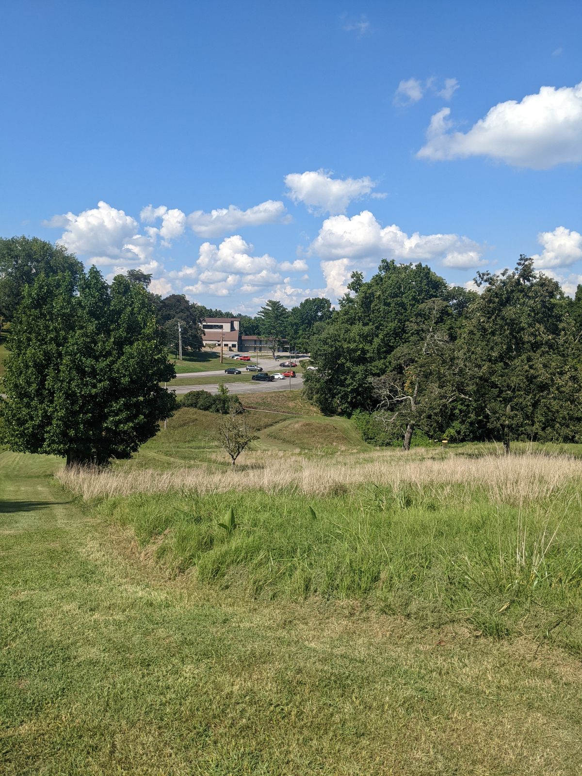 Extremely narrow fairways with one high tall grass. Almost impossible to find your disc if you don't land in the fairway.