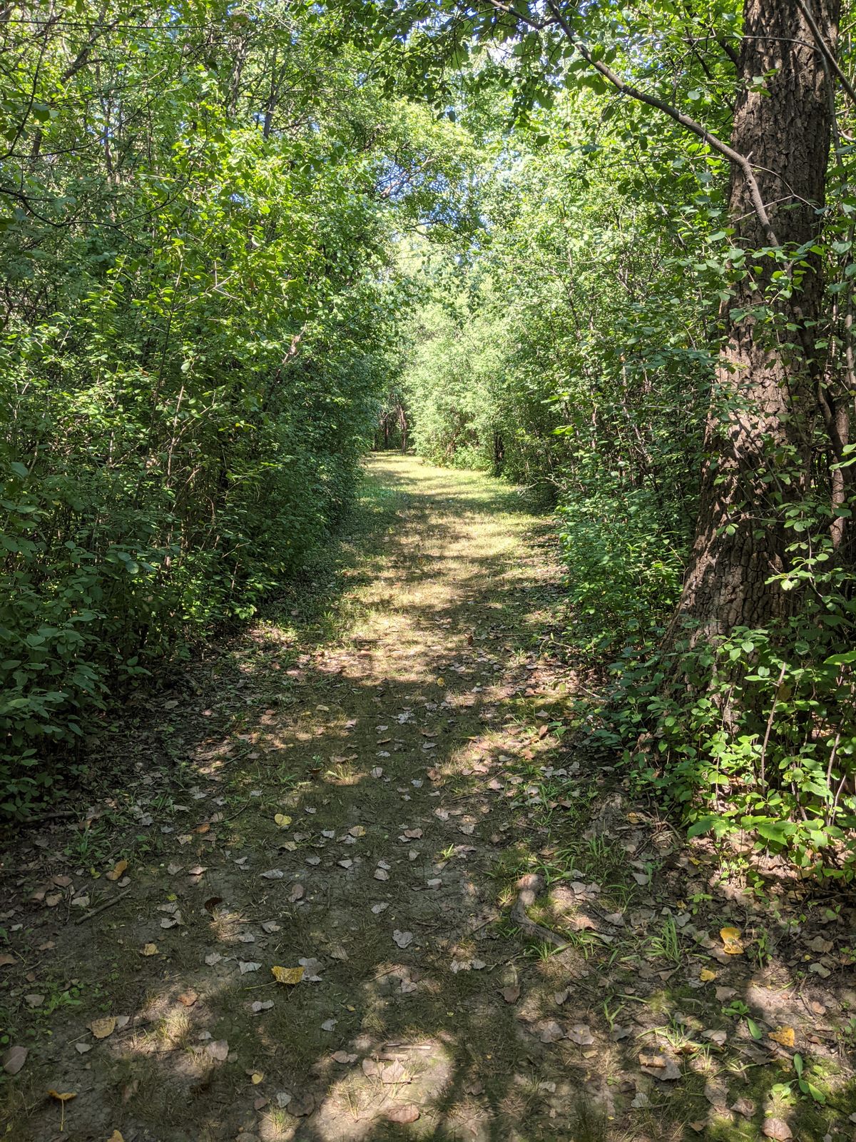 Hole #5