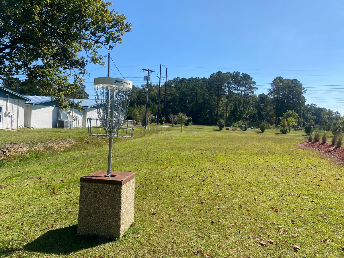 Hole #2 elevated basket