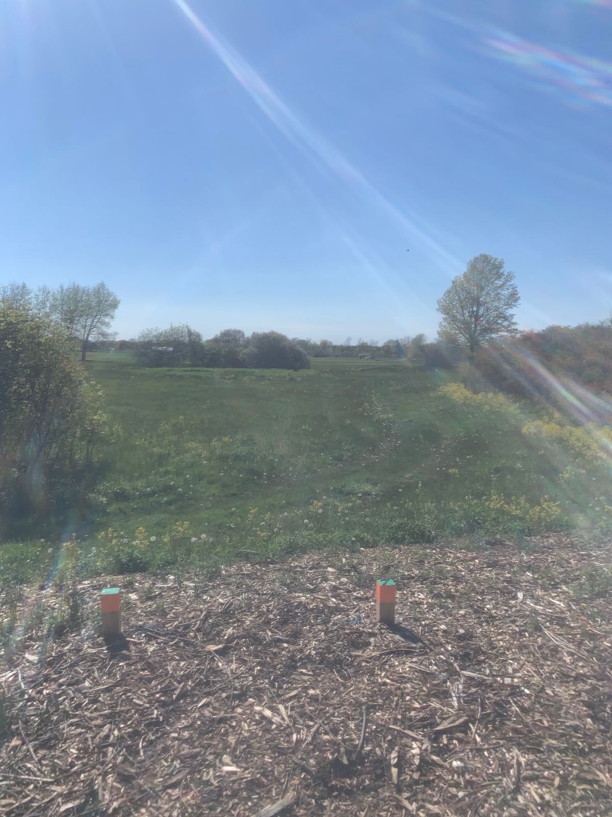 Hole 7 tee box