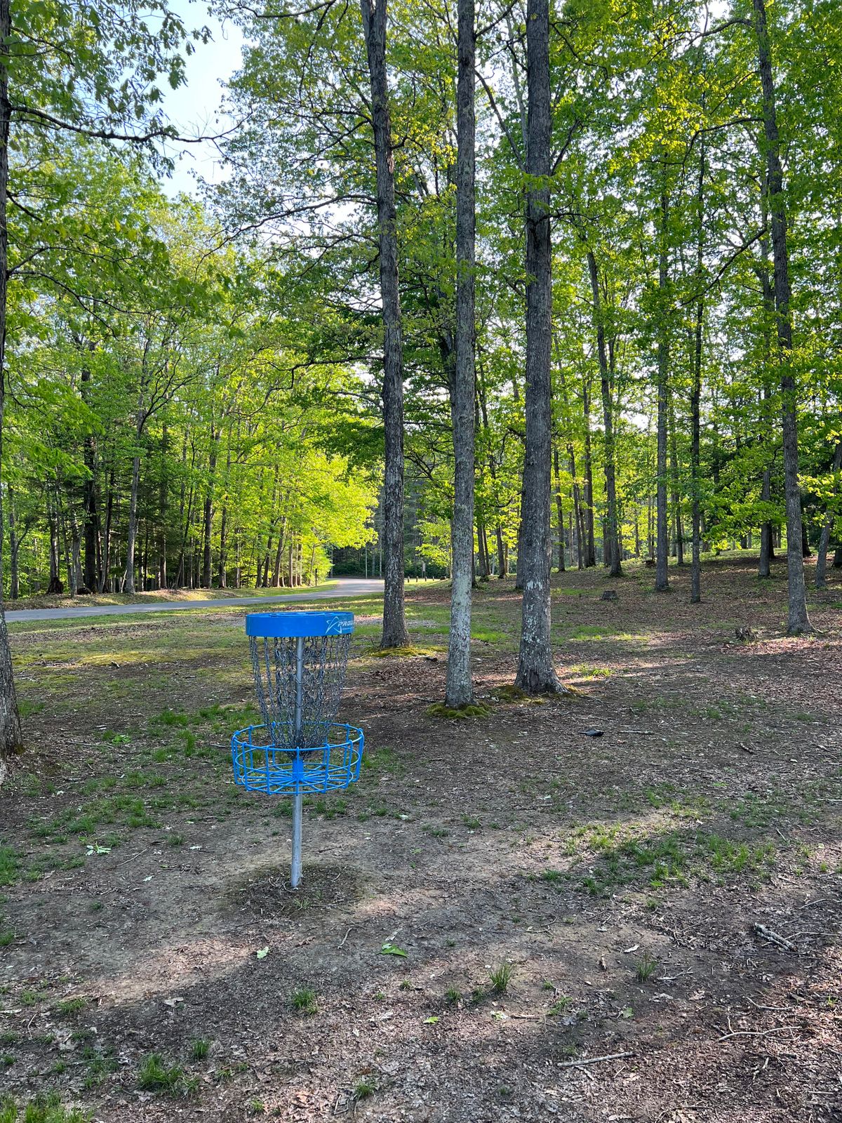 Hole 2 Basket to Tee