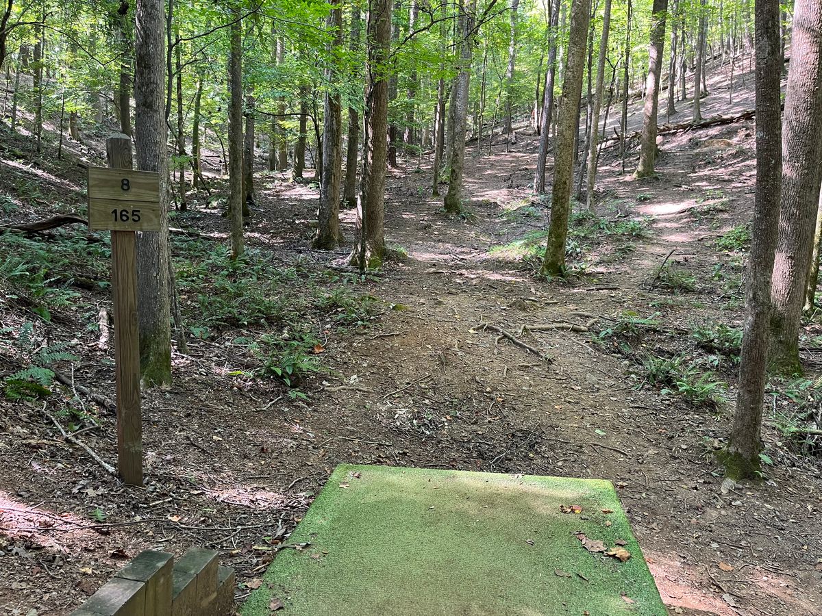 Hole 8