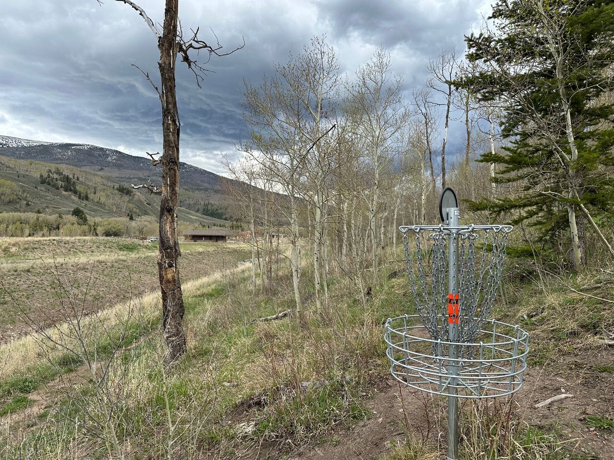 Hole 8 Basket to Tee