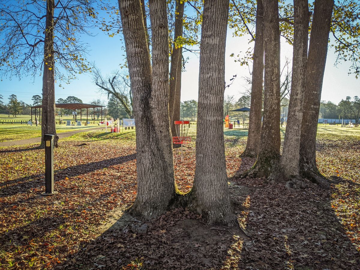 Hole 5 Basket Surrounded by Trees