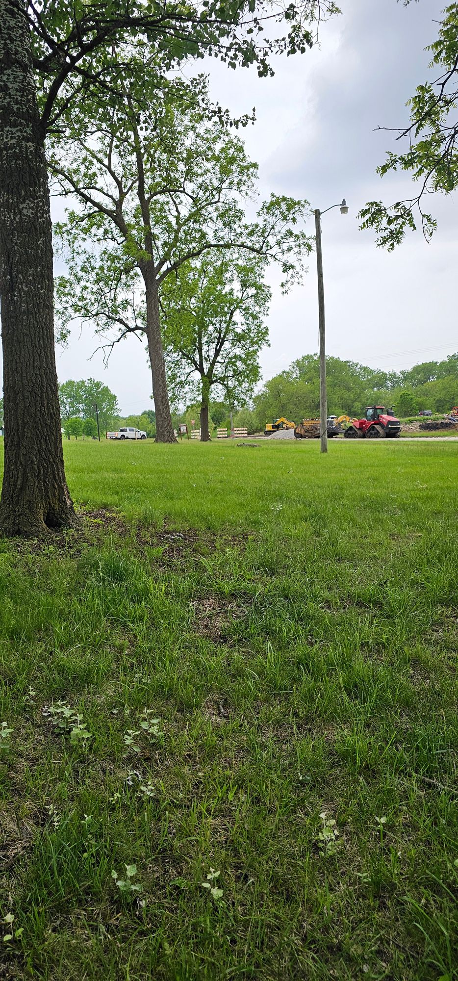 6 fairway