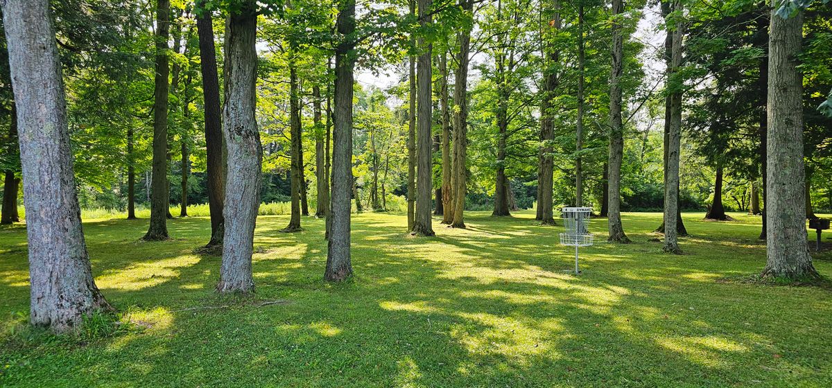 Nice shade trees.