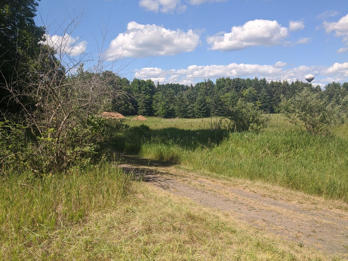 Hole 2 - White tee