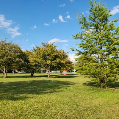 View of hole 12's green from the fairway.