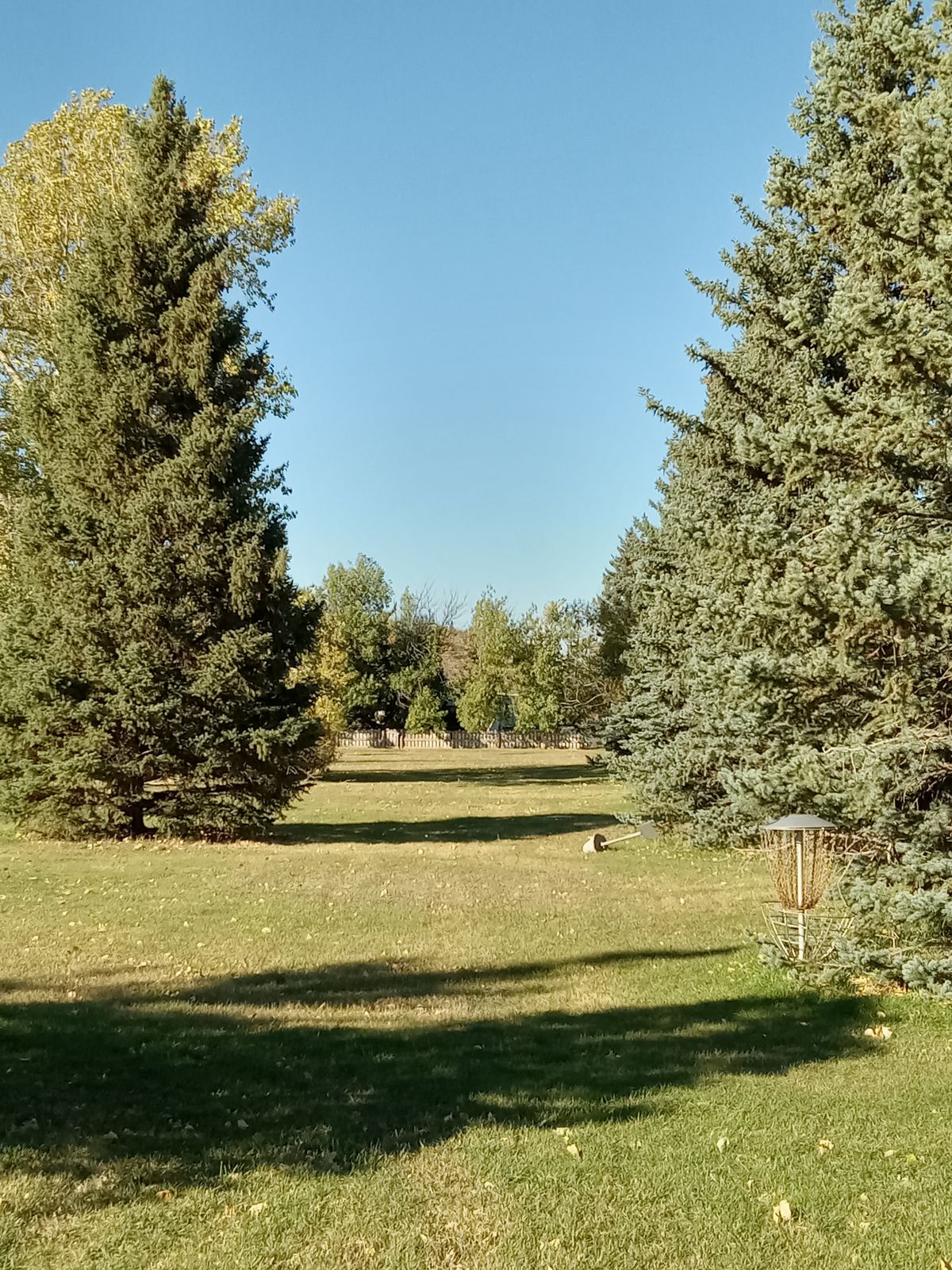 Fairway of hole 11.