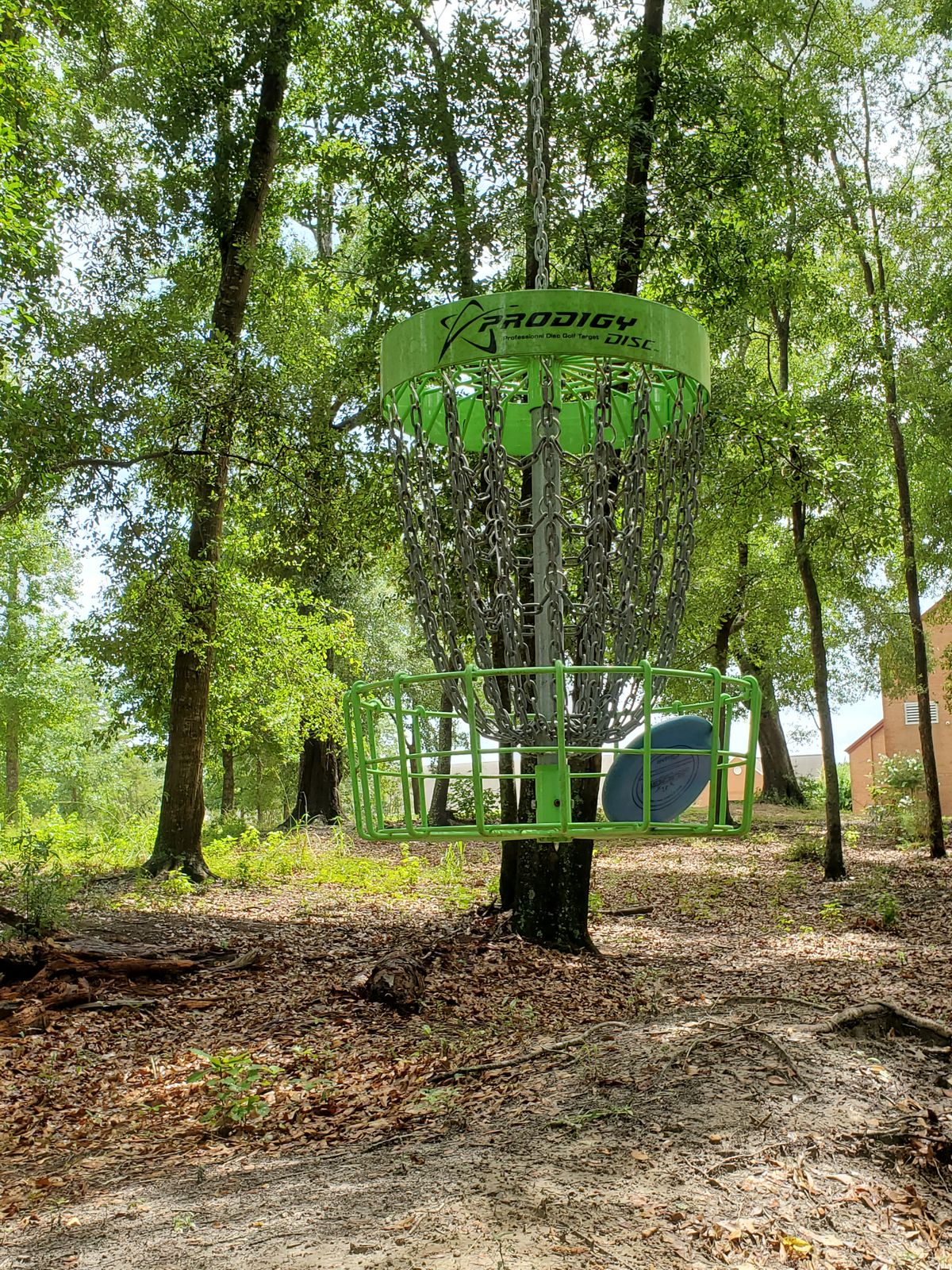 Hanging basket coolest feature of this course