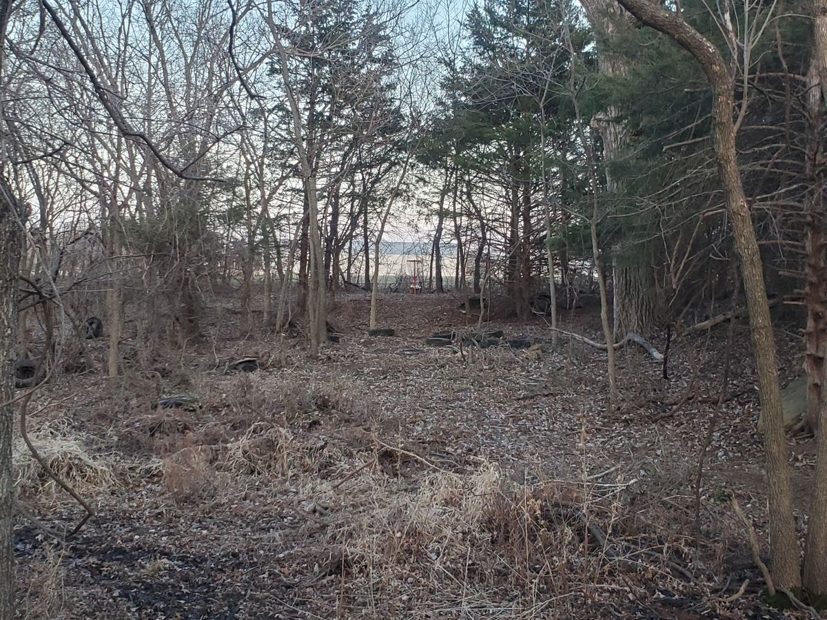 Hole 5 landing zone looking at basket