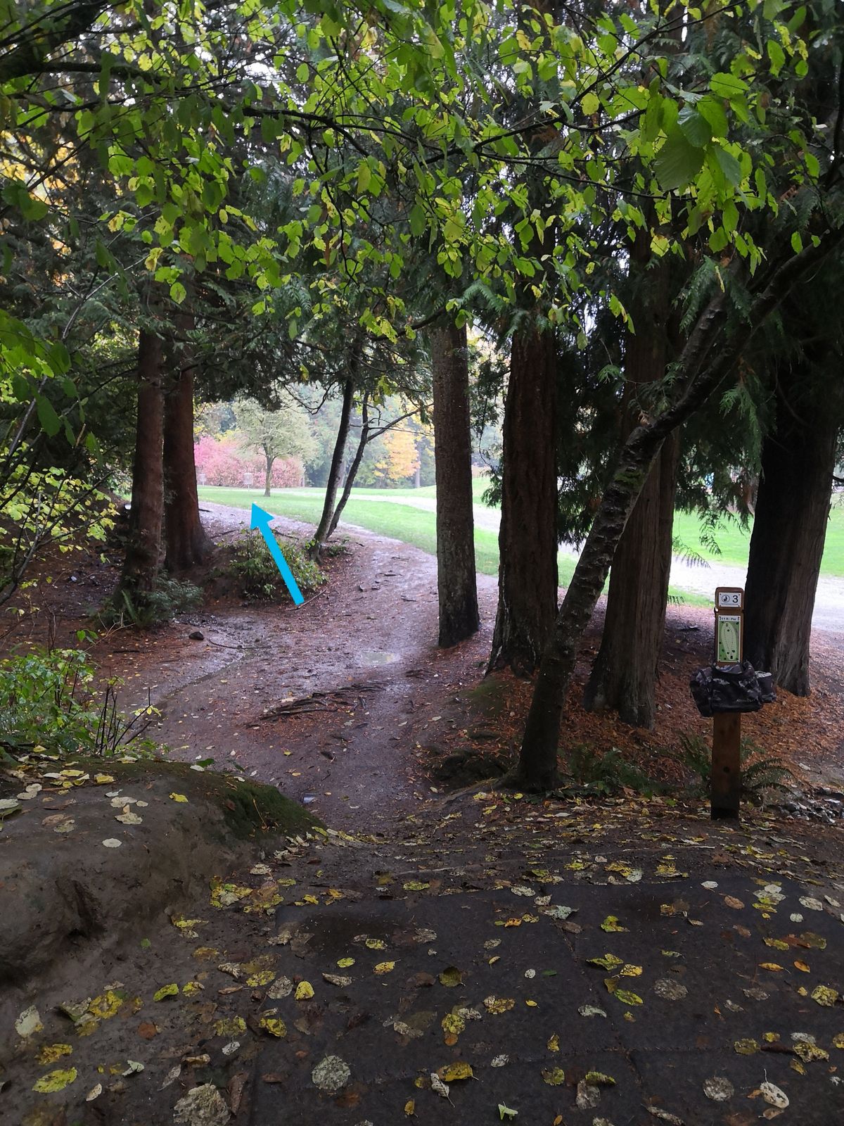 Hole 3