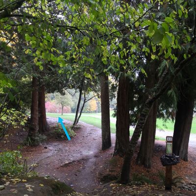 Hole 3