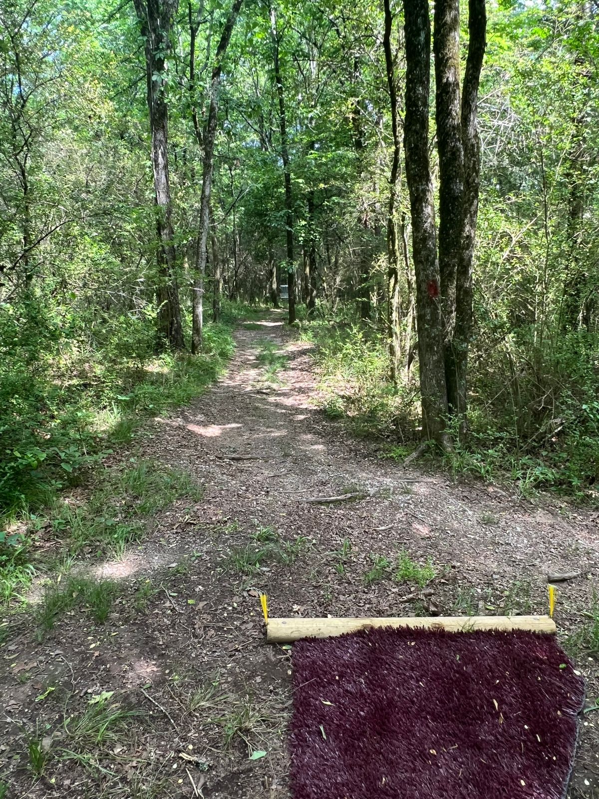 Hole 6 tee pad and basket. 126 feet