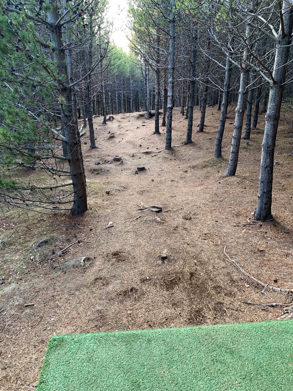 Fairway hole 5