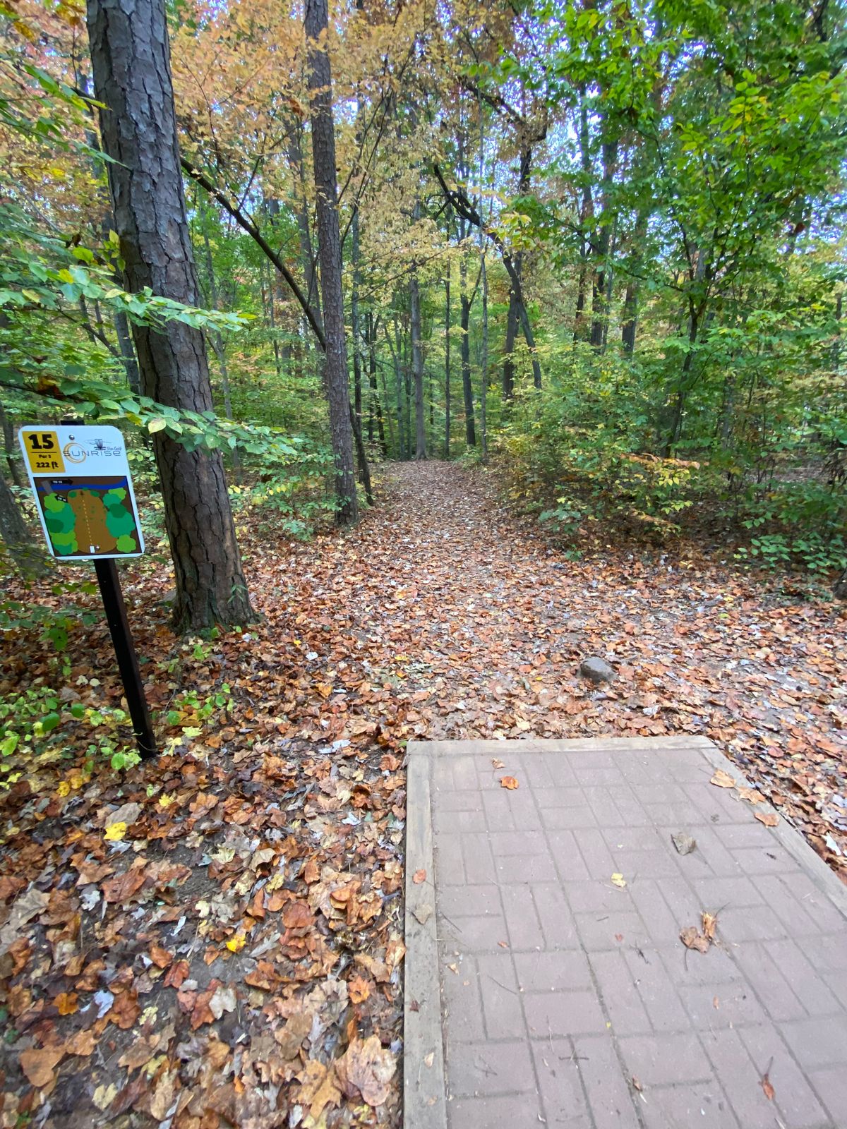 Hole 15