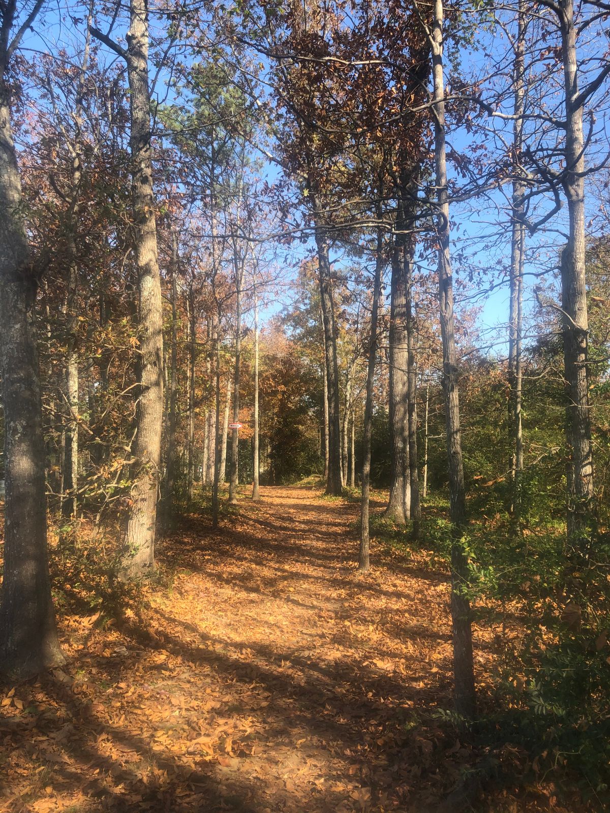 Hole 5