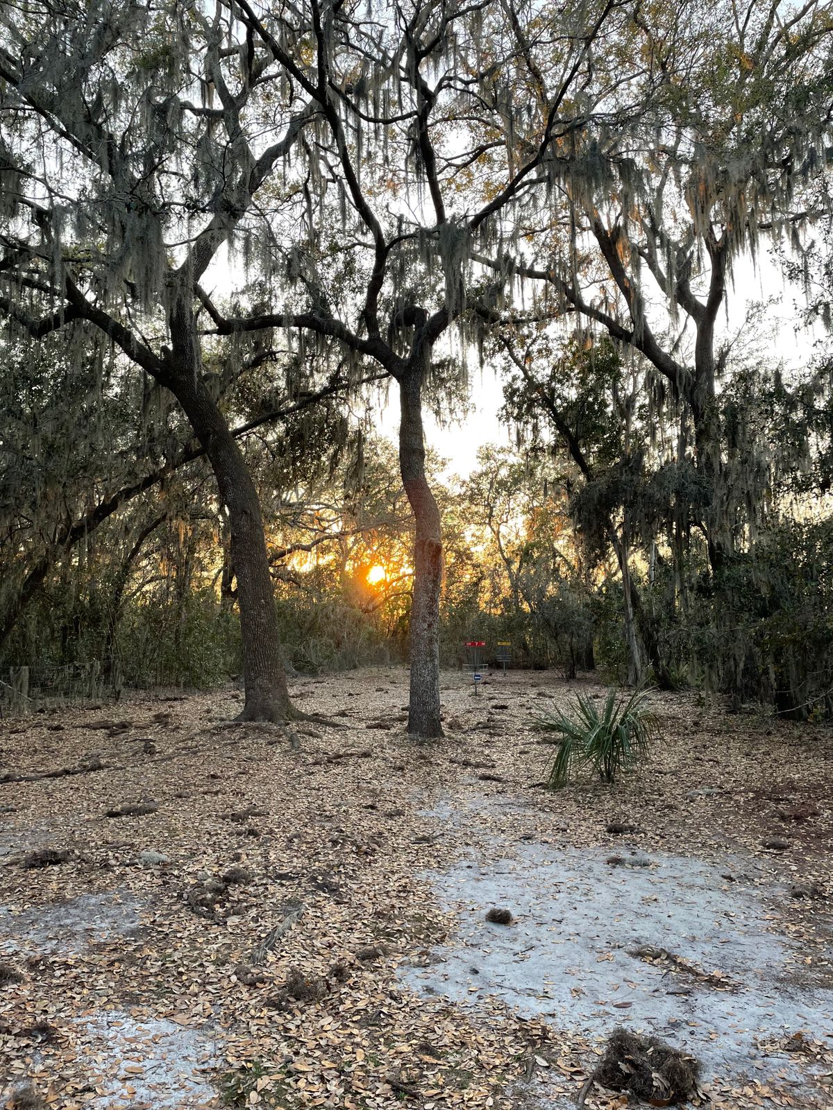 Hole 7